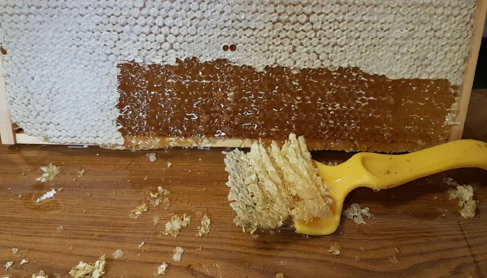 Honey Extraction