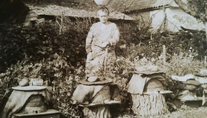 Hexton Hives